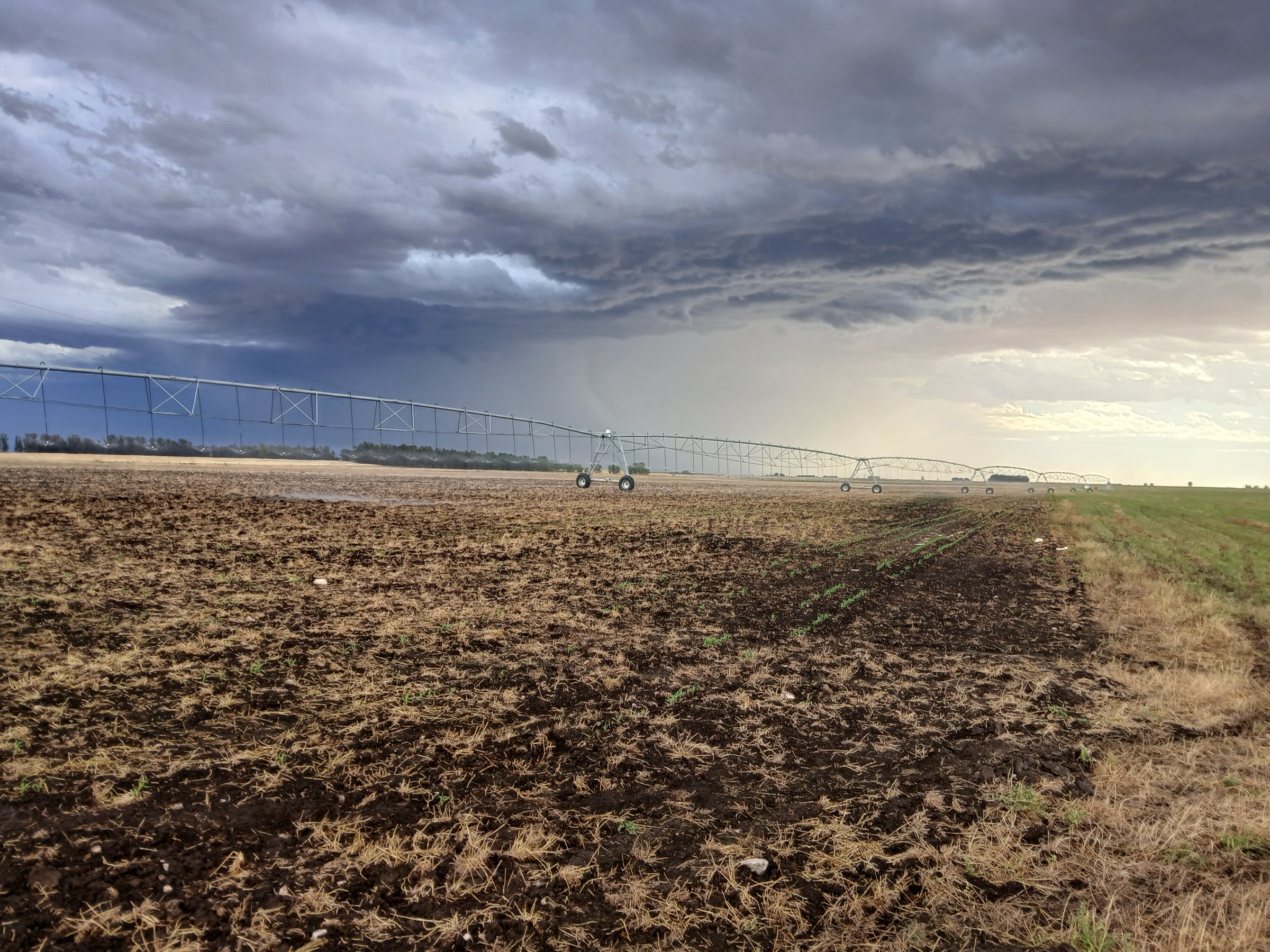 Pivot de riego sobre un lote recién sembrado, con tormenta de fondo